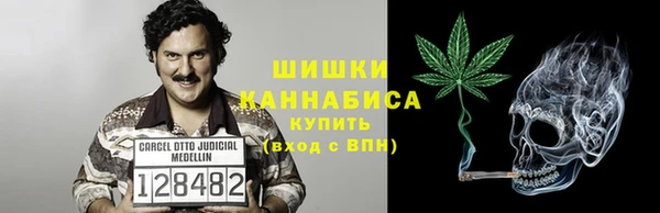 сатива Вязники