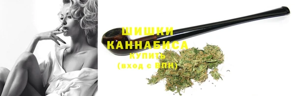 Альфа ПВП Ельня