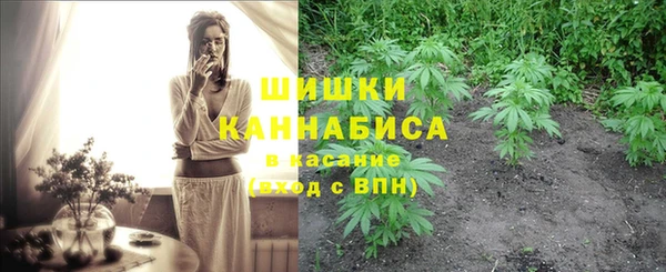 Альфа ПВП Ельня
